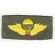 ARVN / South Vietnamese Army Pattern Basic Instructor Airborne Jump Wings