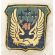 ARVN / South Vietnamese Air Force 41st Tactical Wing Patch