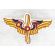​WWII AAF Civilian Pilot Training Program Patch