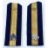 ​WWII Imperial Japanese Navy Ensign Shoulder Boards