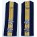 ​WWII Imperial Japanese Navy LTJG Shoulder Boards