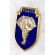 Vietnam 4th Montagnard Battalion Drago Badge