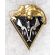 Vietnam 1st Montangnard Company Drago Badge
