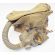 WWII era Early Khaki M3 Gas Mask and M6 Bag