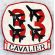 1960's USAF 33rd Cavalier Japanese Made Back Size Squadron Patch