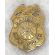 Cahokia Maplewood Fire Department Badge
