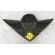 ​Vietnam Era Cambodian / FANK Army Airborne Jump Wings.
