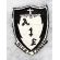 ​Vietnam US Air Force 22nd Special Operations NIGHT FIGHTER Squadron Patch