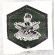 ARVN / South Vietnamese Regional Forces / Popular Forces Patch