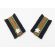 WWII Japanese Dead Stock Navy Judge Advocate Ensign Collar Tab Set