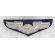 ​​1950's-60's US Air Force Aircrew Made In Japan Bullion Wings
