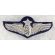 1950's-60's US Air Force Senior Flight Surgeon Made In Japan Bullion Wings