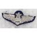 1950's-60's US Air Force Senior Navigator Made In Japan Bullion Wings