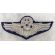 ​1950's-60's US Air Force Command Pilot Made In Japan Bullion Wings