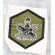 ​​ARVN / South Vietnamese Regional Forces / Popular Forces Patch