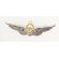 Iranian Army Aviator Wings