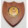 WWII era US Army Named 9th Medical Battalion Plaque