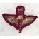 ​WWII Indian Airborne Wing Italian Made