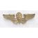 WWII - Late 1940's Nationalists Chinese / KMT Para Commando Wing