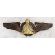 ​​​Shah Period Iranian Air Force Wing