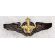 ​Shah Period Iranian Air Force Pilot Wing