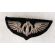 WWII AAF English Mabe Bullion Bombadier Wing