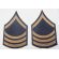 pre-WWII era US Army Wool Specialist 4th Class Rank Chevrons