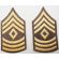 Korean War era Women's Taupe First Sergeant Rank Chevrons