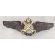 ​​​Shah Period Iranian Air Force Sword & Keys Wing