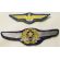 Japanese Army Aviation Pilot & Recon Wing Patch Set