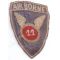11th Airborne Division Theatre Made Patch