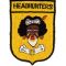 80th Fighter Squadron HEADHUNTERS Theatre Made Squadron Patch