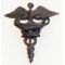 Army School Of Nursing Officers Collar Device