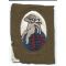 WWI 85th Aero Squadron Patch