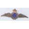 WWI - 1920's RFC / Royal Flying Corps Wing