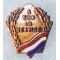 WWI Or WWII A Son In Service Patriotic / Sweetheart Lapel Pin