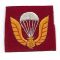 ARVN / South Vietnamese Army Airborne Beret Badge