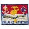 US Marine Corps 1st Hospital Company Chu Lai Vietnam 1966-67 Patch