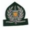 ARVN / South Vietnamese Nationalists Field Police Bullion Beret Badge