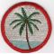 WWII Mariannas Bonin Guam Command Patch