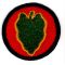 WWII 24th Division Patch