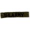 Vietnam US Army In-country Made Branch Strip