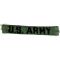 Vietnam US Army In-country Made Branch Strip