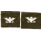 1950's-1960's Army Colonel's Officer Rank Patch