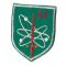 South Vietnamese Army 65th Signal Battalion Patch