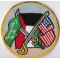 Operation Desert Storm Allied Flags Cruise Patch