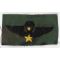 ARVN / South Vietnamese Special Forces Pattern Senior Airborne Wing On ERDL Background