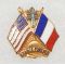 WWII Free French Forces And US Forces France Forever Patriotic Pin