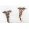 WWII Medical Corps Screw Back Sweetheart Earrings