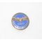 WWII WASP / Women's Airforce Service Pilot's Discharge Lapel Pin